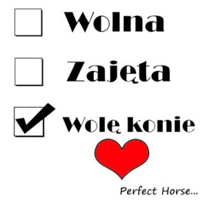 Wolę konie